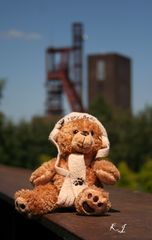 Teddybär beim Foto Shooting auf Zollverein. Weltkultur Erbe 2010.