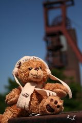 Teddybär beim Foto Shooting auf Zollverein.2 Weltkultur Erbe 2010.