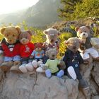 Teddybären auf Schusters Rappen  "Bears to go"