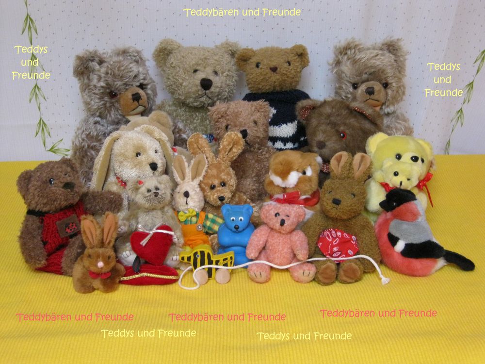 Teddybären und Freunde