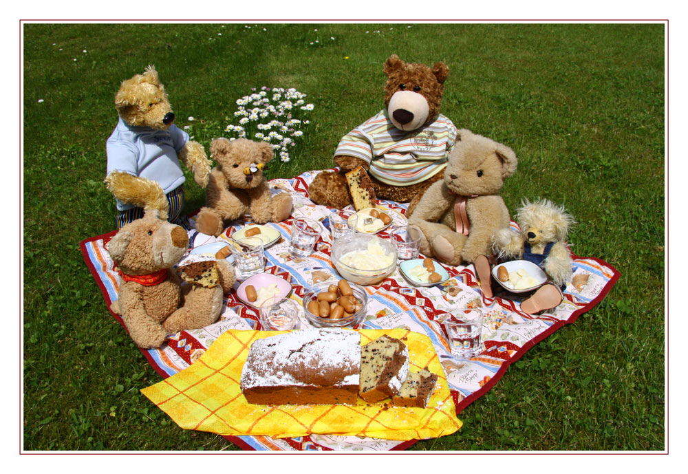 Teddybears Picnic