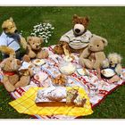 Teddybears Picnic