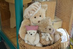 Teddyfamilie