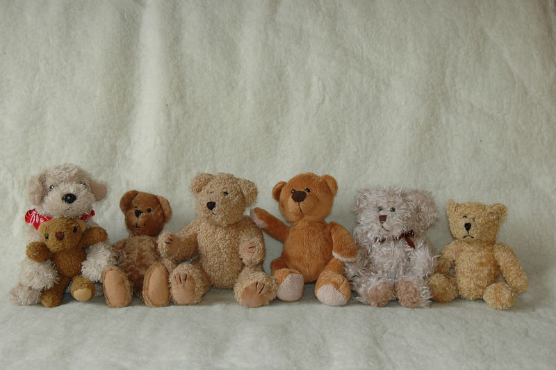 Teddyfamilie