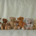 Teddyfamilie