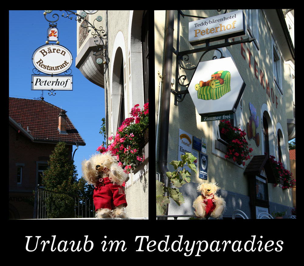 Teddyhotel