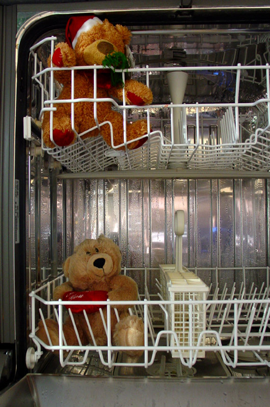 teddys in the wash