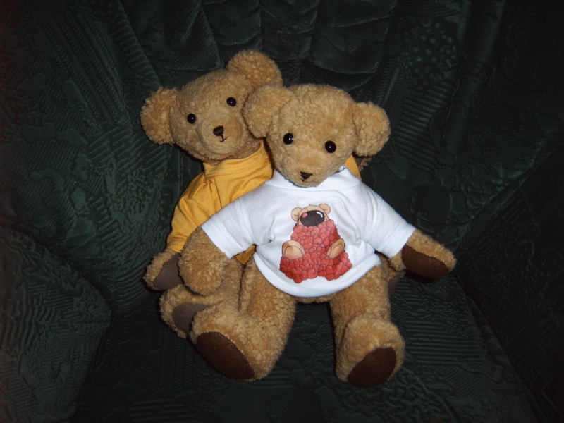 Teddys to love