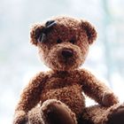 Teddystory