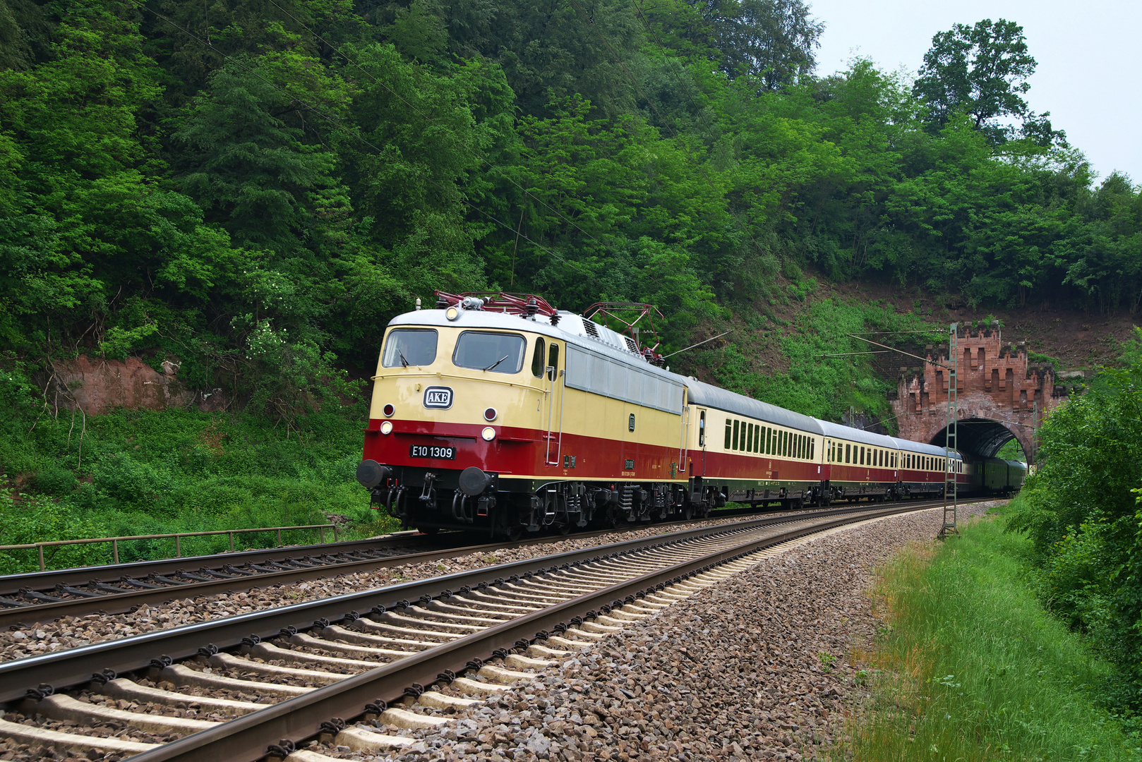 TEE auf dem Weg nach Heidelberg