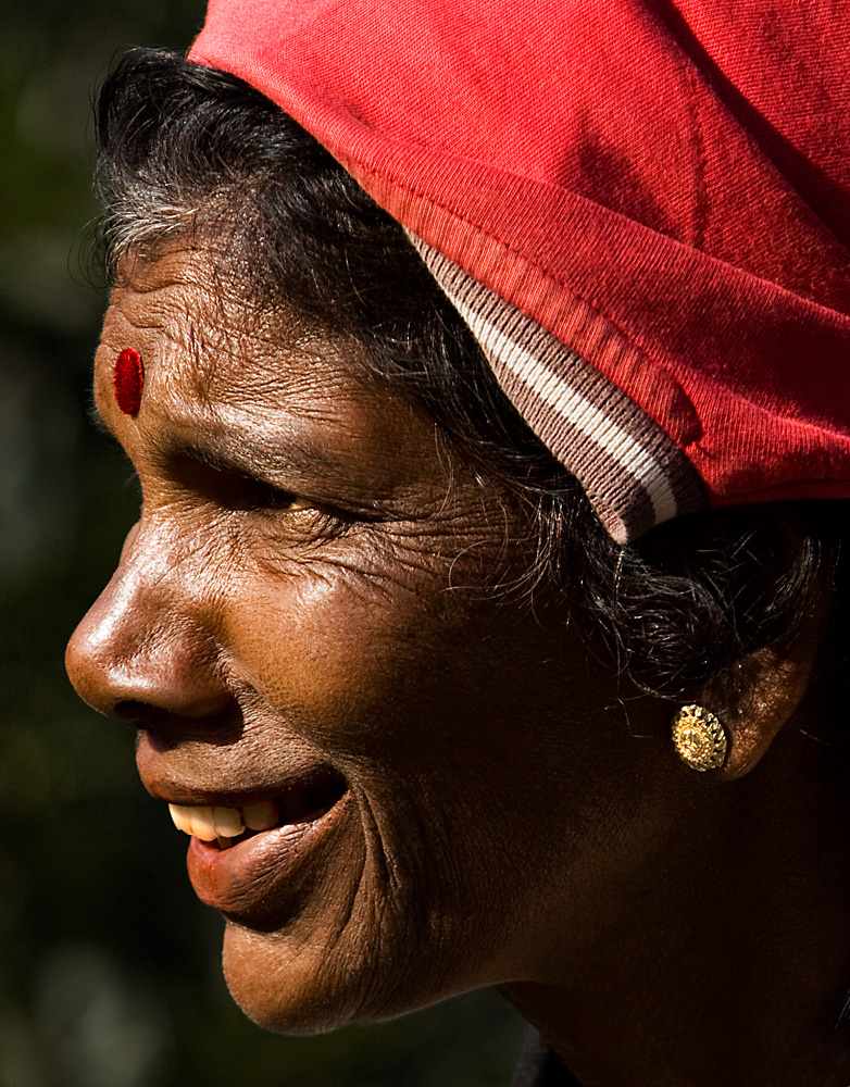 Tee Pflückerin im Hochland von Sri Lanka