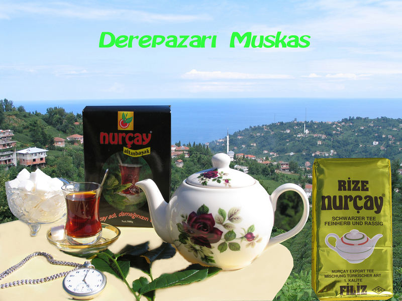 Tee Rize Türkei