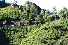 TEE Stube und TEE Plantagen Kerala Indien +StoryzumFoto
