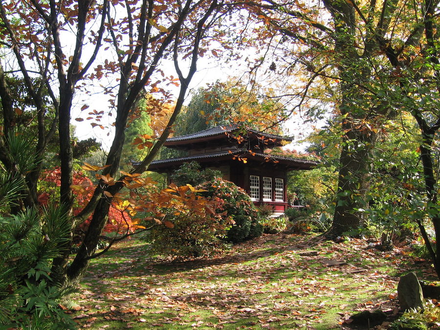 Teehaus im Japanischen Garten