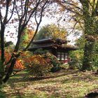 Teehaus im Japanischen Garten