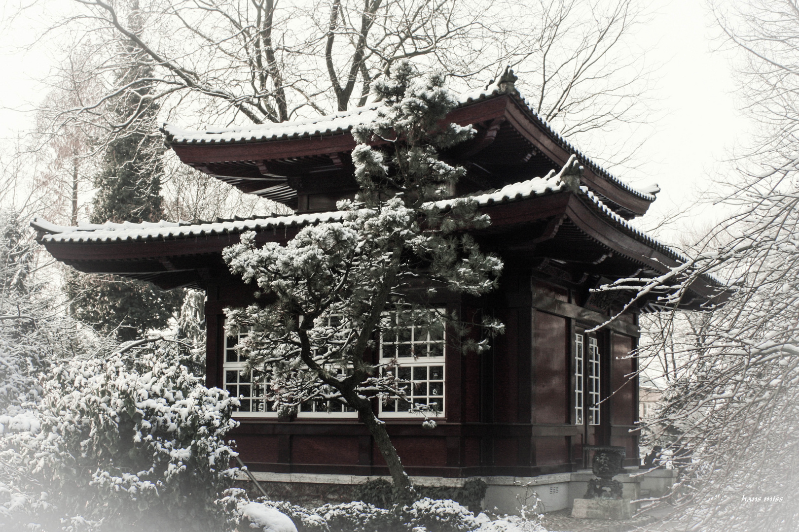 Teehaus im Japanischen Garten in Leverkusen Foto & Bild natur