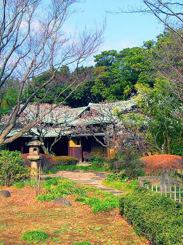 Teehaus im Kaiserlichen Garten / Tokyo