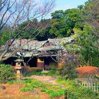 Teehaus im Kaiserlichen Garten / Tokyo