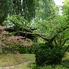 Teehaus mitten im Garten