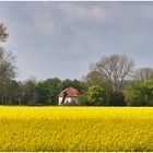 Teehaus Seestermühe