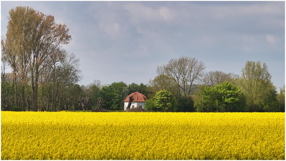 Teehaus Seestermühe