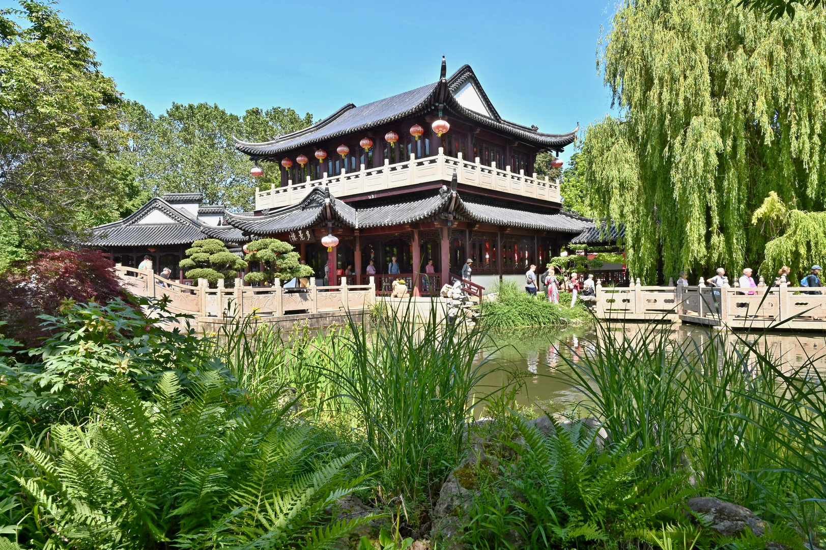 Teehaus und Chinesischer Garten