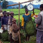 Teepflücker nahe Cyangugu