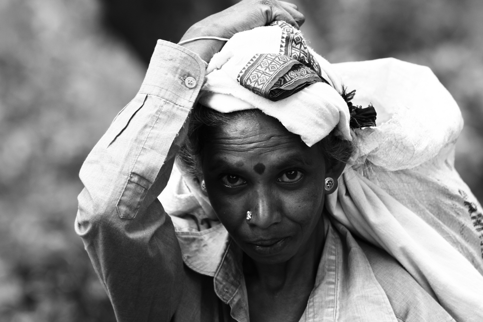 Teepflueckerin in Sri Lanka