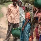 Teepflückerinnen bei Sylhet/ Bangladesch