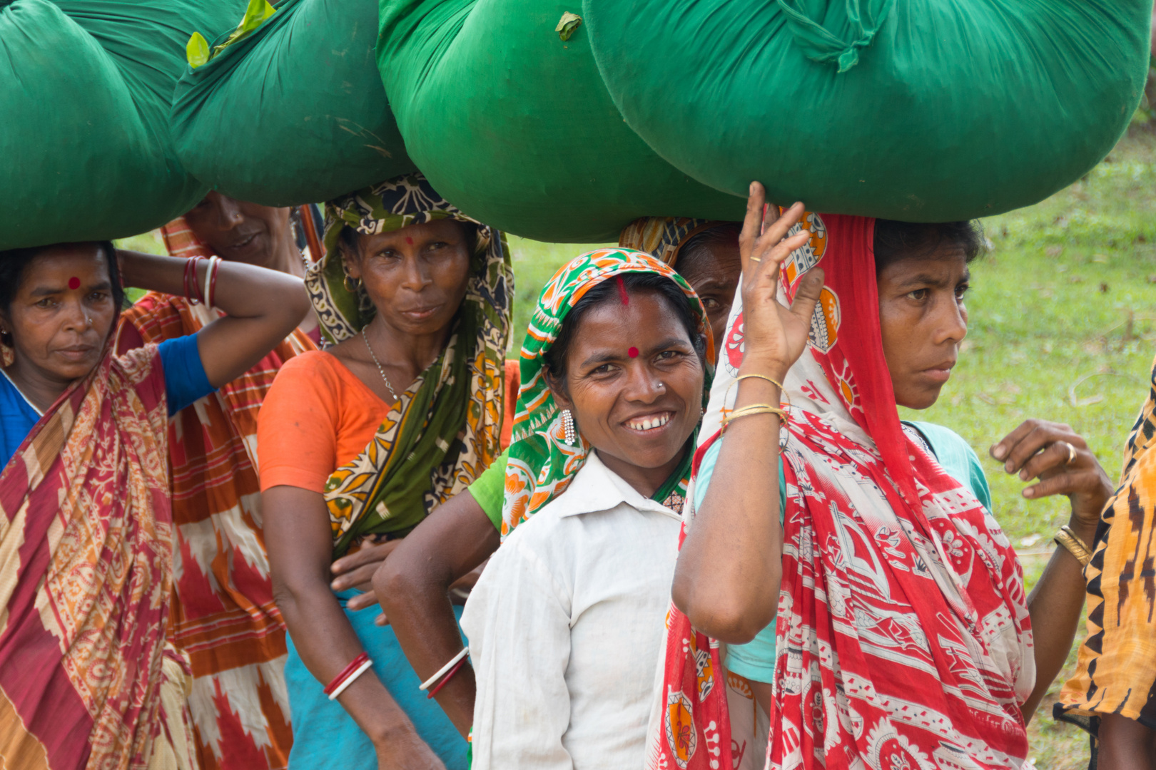 Teepflückerinnen in der Nähe von Sylhet/ Bangladesch