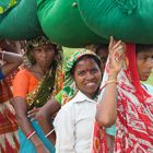 Teepflückerinnen in der Nähe von Sylhet/ Bangladesch