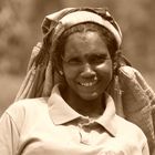 Teeplantage Arbeiterin - Sri Lanka