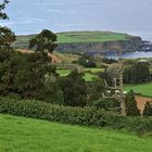 Teeplantage Chá Gorreana  auf São Miguel (Azoren)