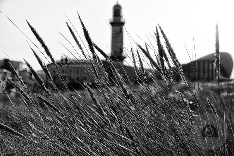 Teepott Warnemünde