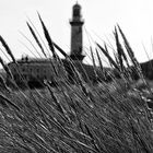 Teepott Warnemünde