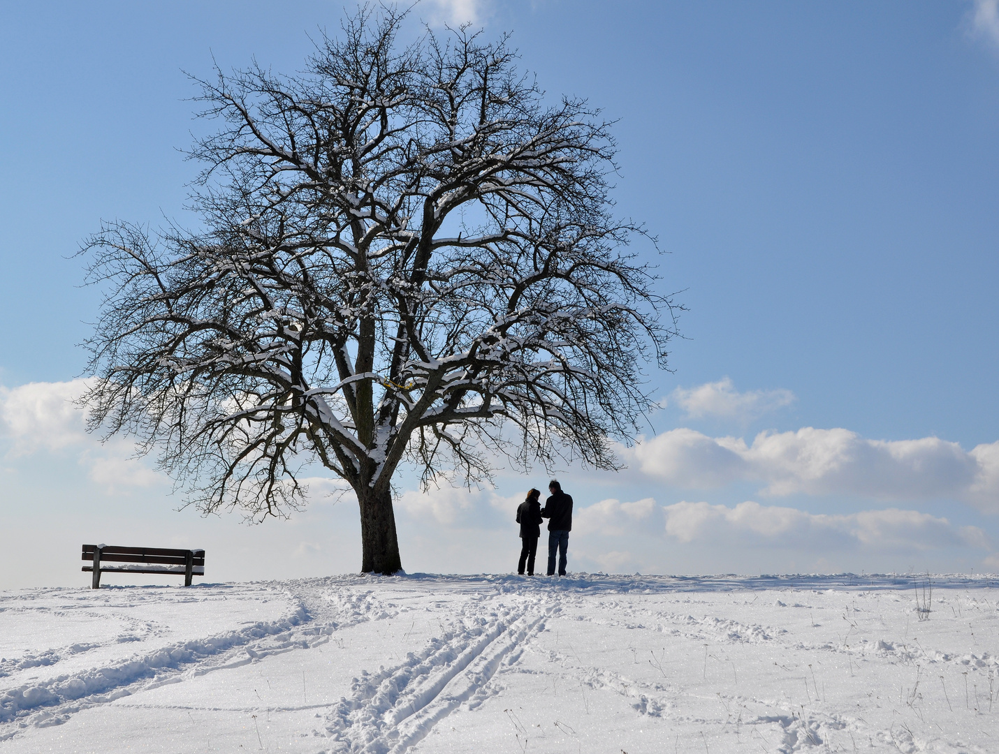 Teffpunkt : bei der Bank am Baum ...