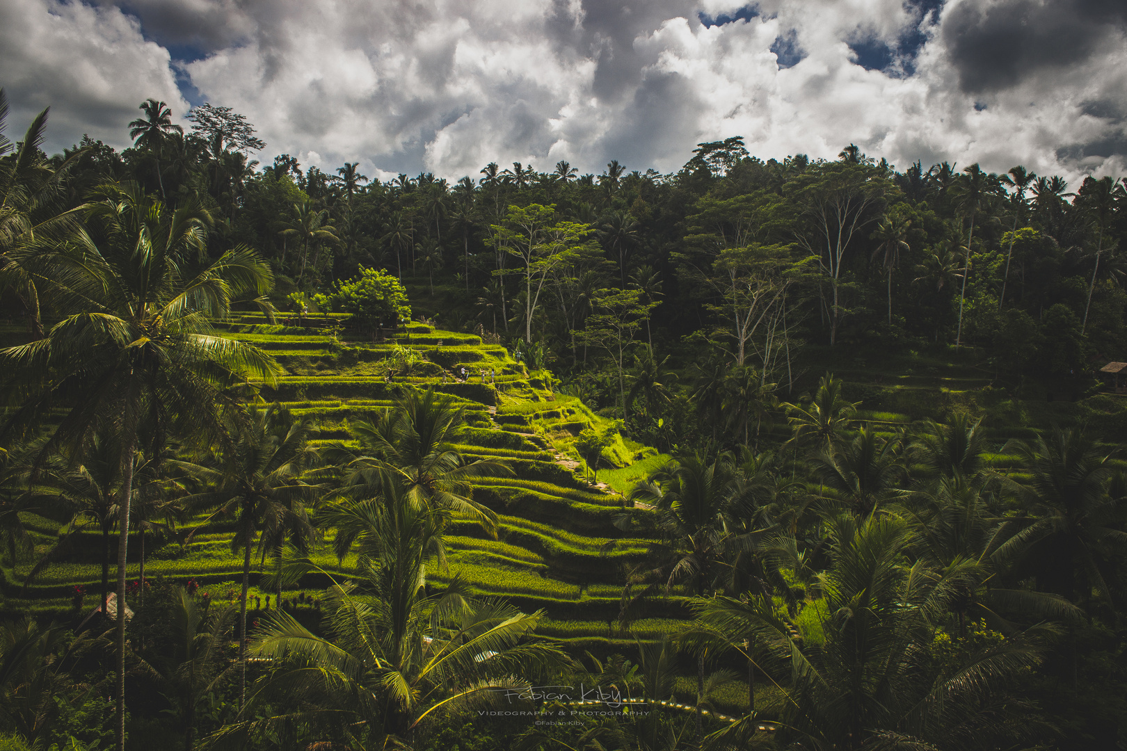 Tegallalang Rice Terrace, Ubud