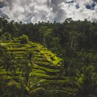 Tegallalang Rice Terrace, Ubud