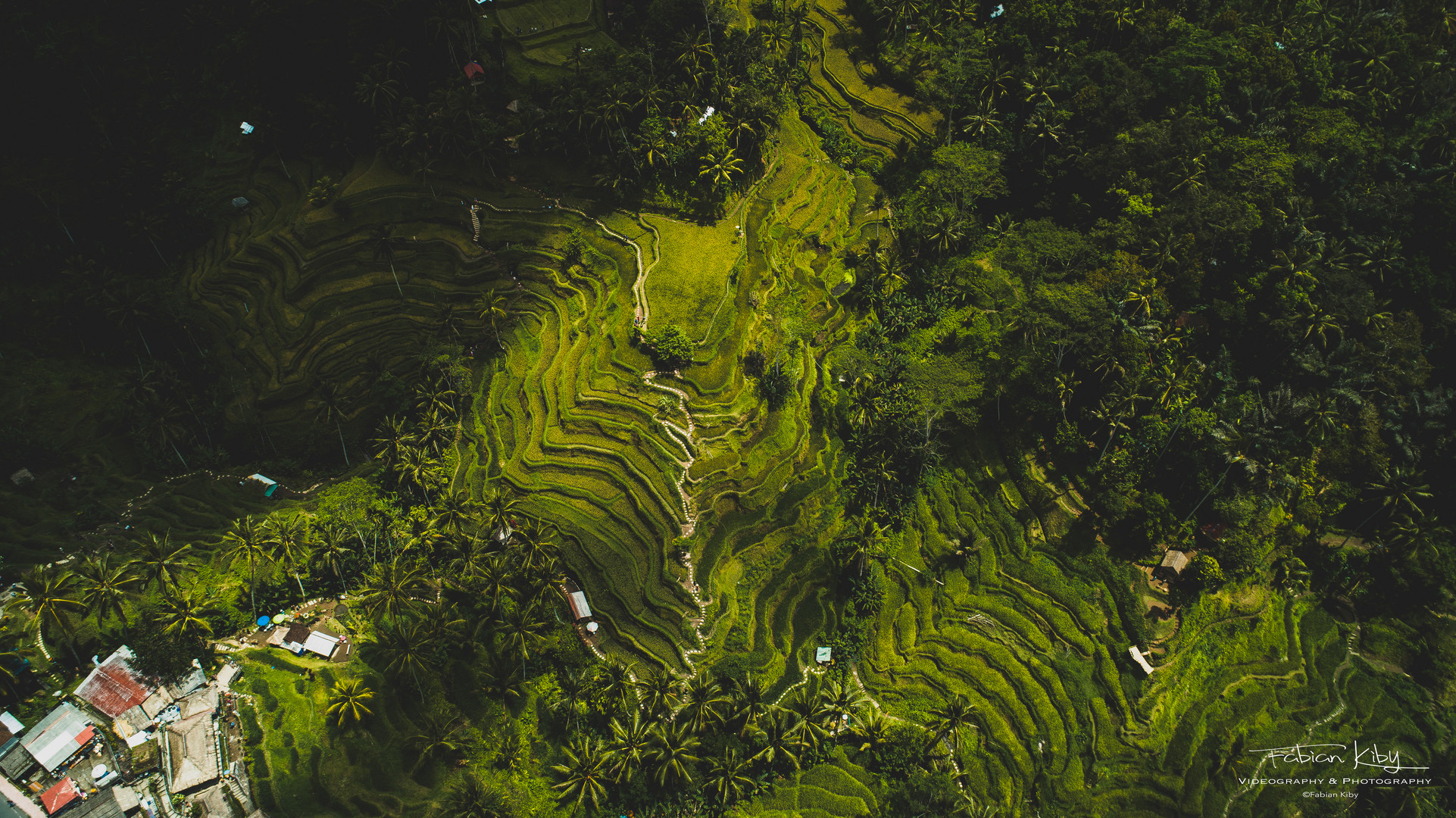 Tegallalang Rice Terrace, Ubud