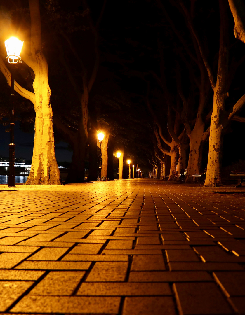 Tegeler Hafen Allee bei Nacht