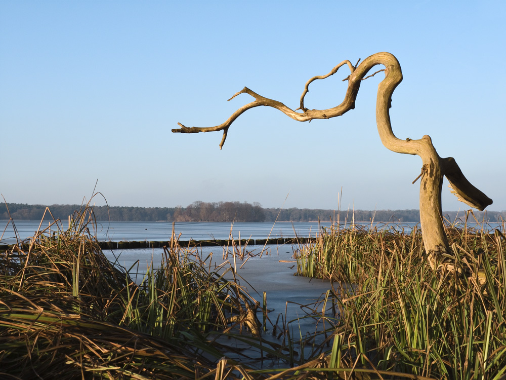 Tegeler See