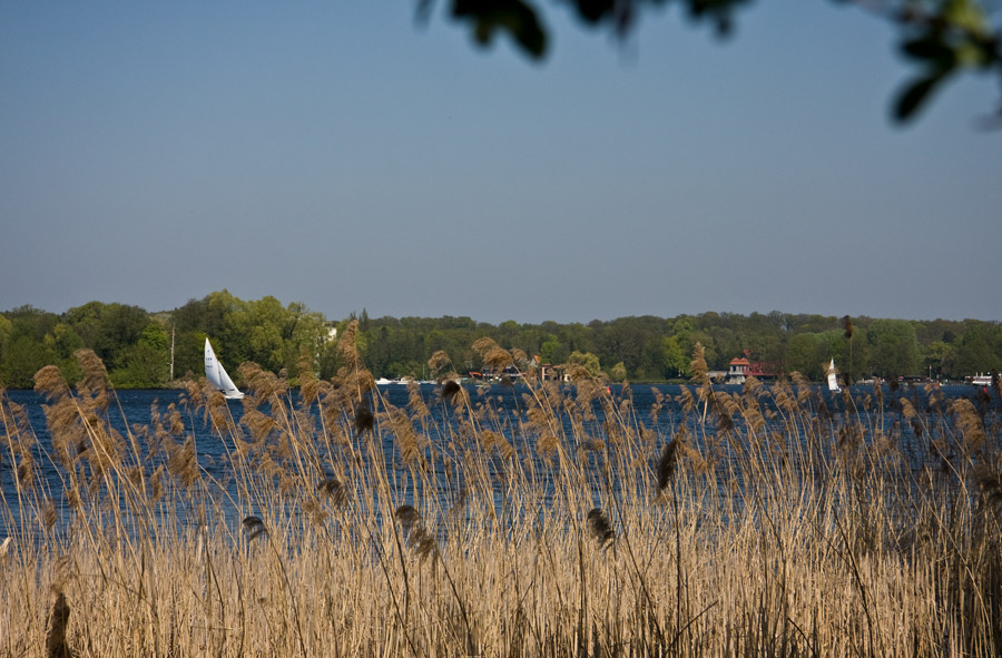 Tegeler See - Frühlingsimpressionen