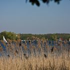 Tegeler See - Frühlingsimpressionen