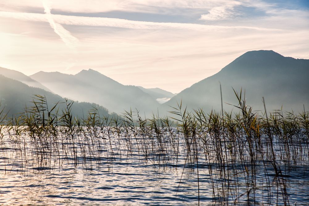 Tegernsee