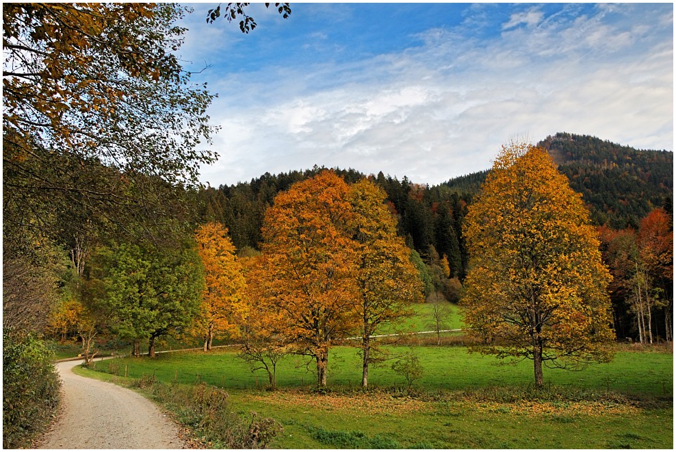 Tegernsee - Bauer in der Au