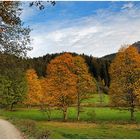 Tegernsee - Bauer in der Au