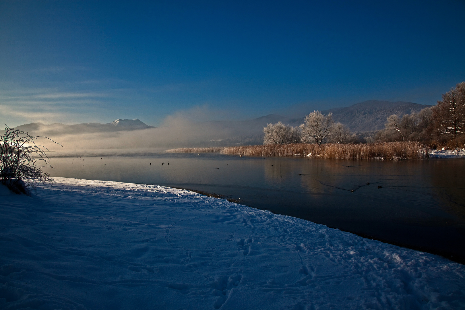 Tegernsee