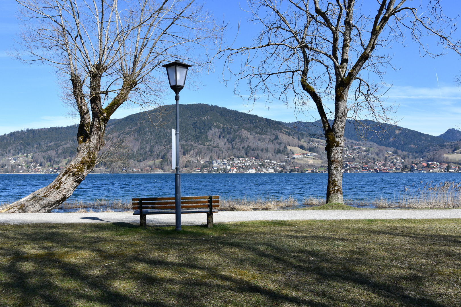 Tegernsee  Frühlingserwachen 