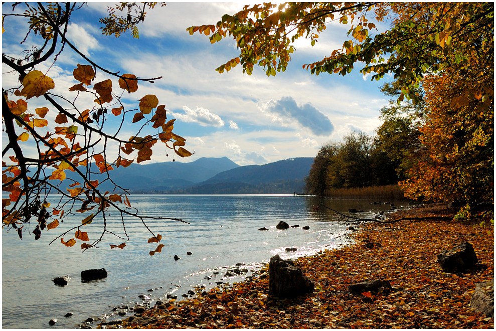 Tegernsee - Herbstnachlese