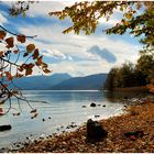 Tegernsee - Herbstnachlese